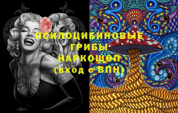 PSILOCYBIN Бугульма